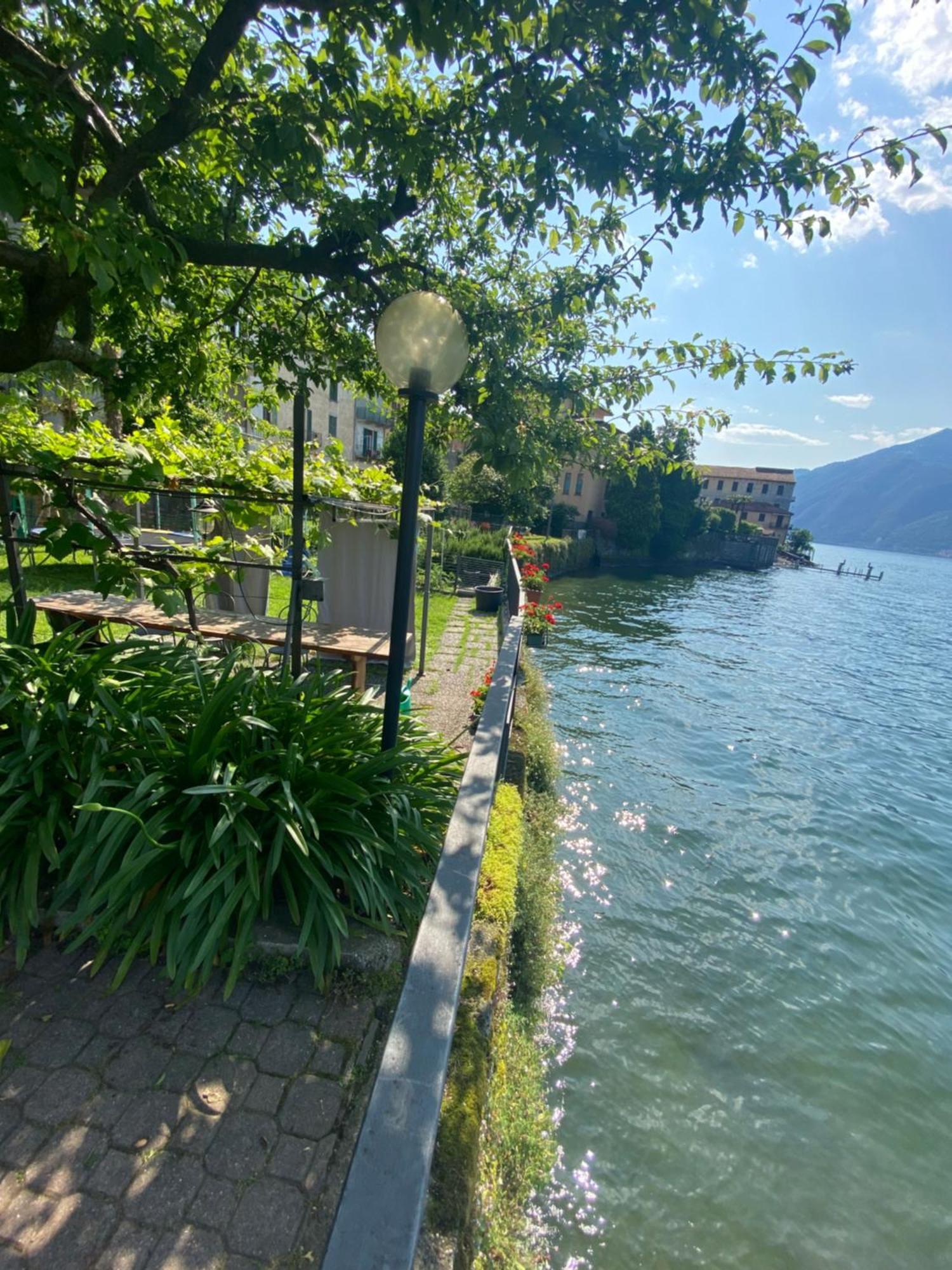 Peonia Apartment - Appartamento Vista Lago เลซเซโน ภายนอก รูปภาพ