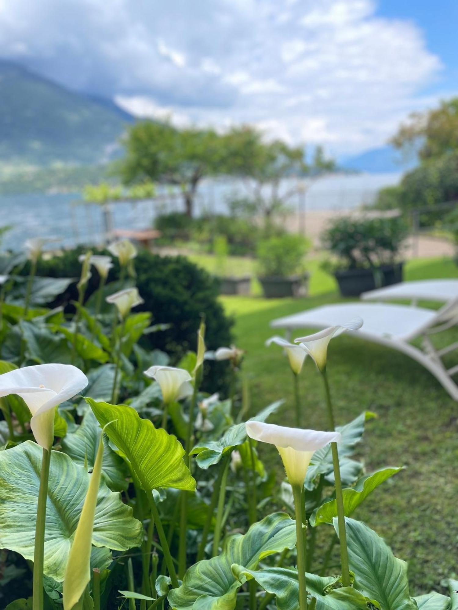 Peonia Apartment - Appartamento Vista Lago เลซเซโน ภายนอก รูปภาพ